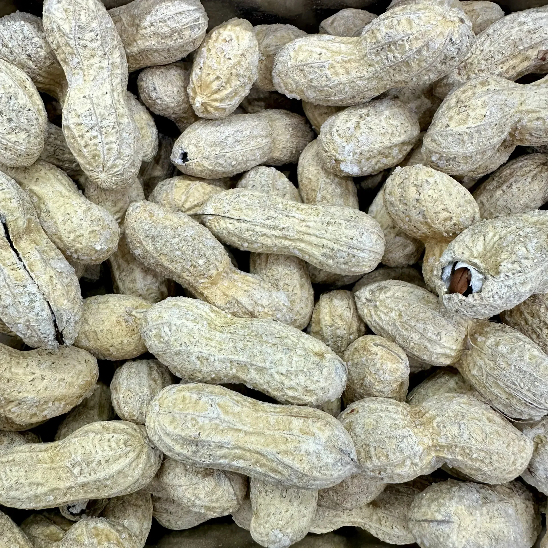 فول سوداني بالقشر جامبو