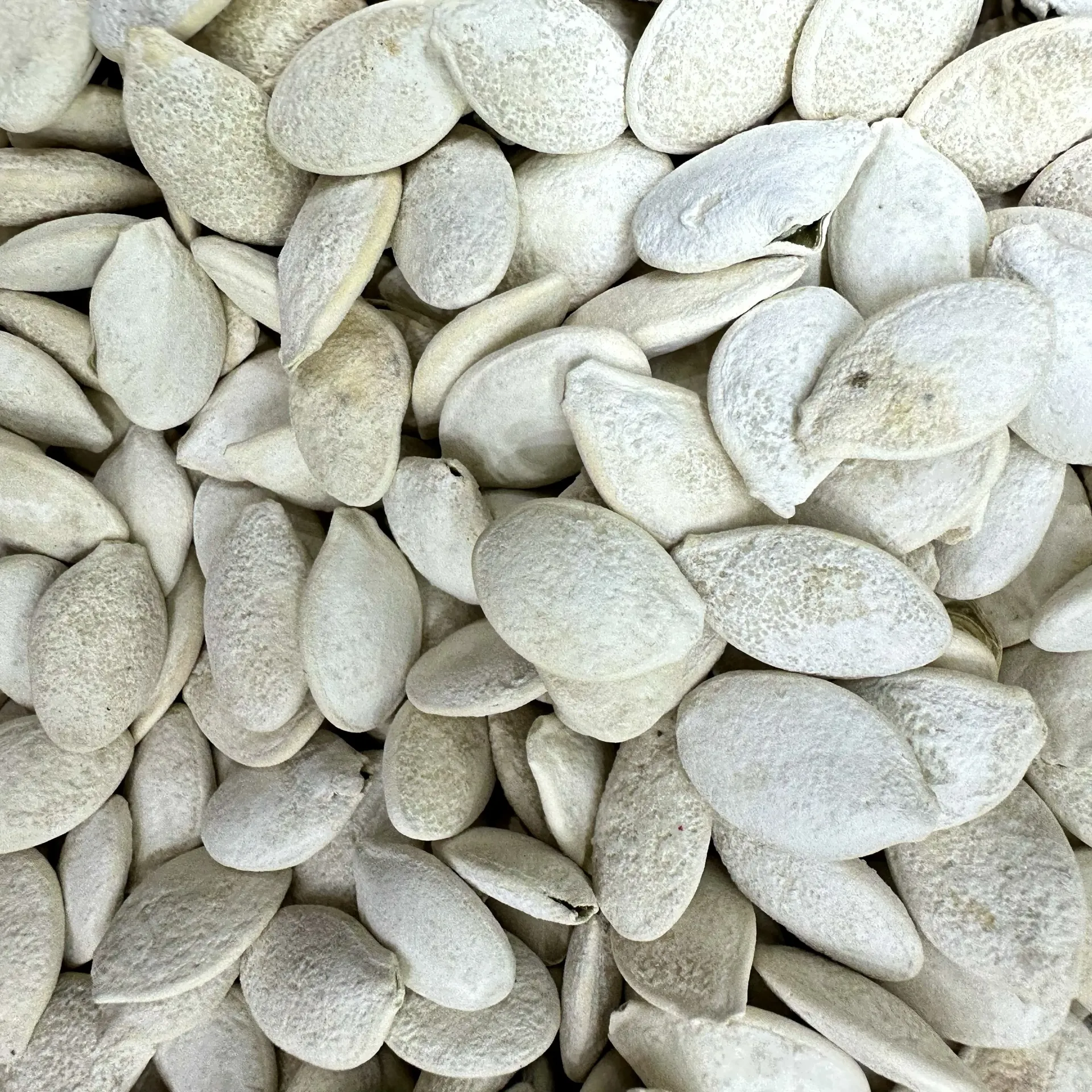 Salted Pumpkin Seeds