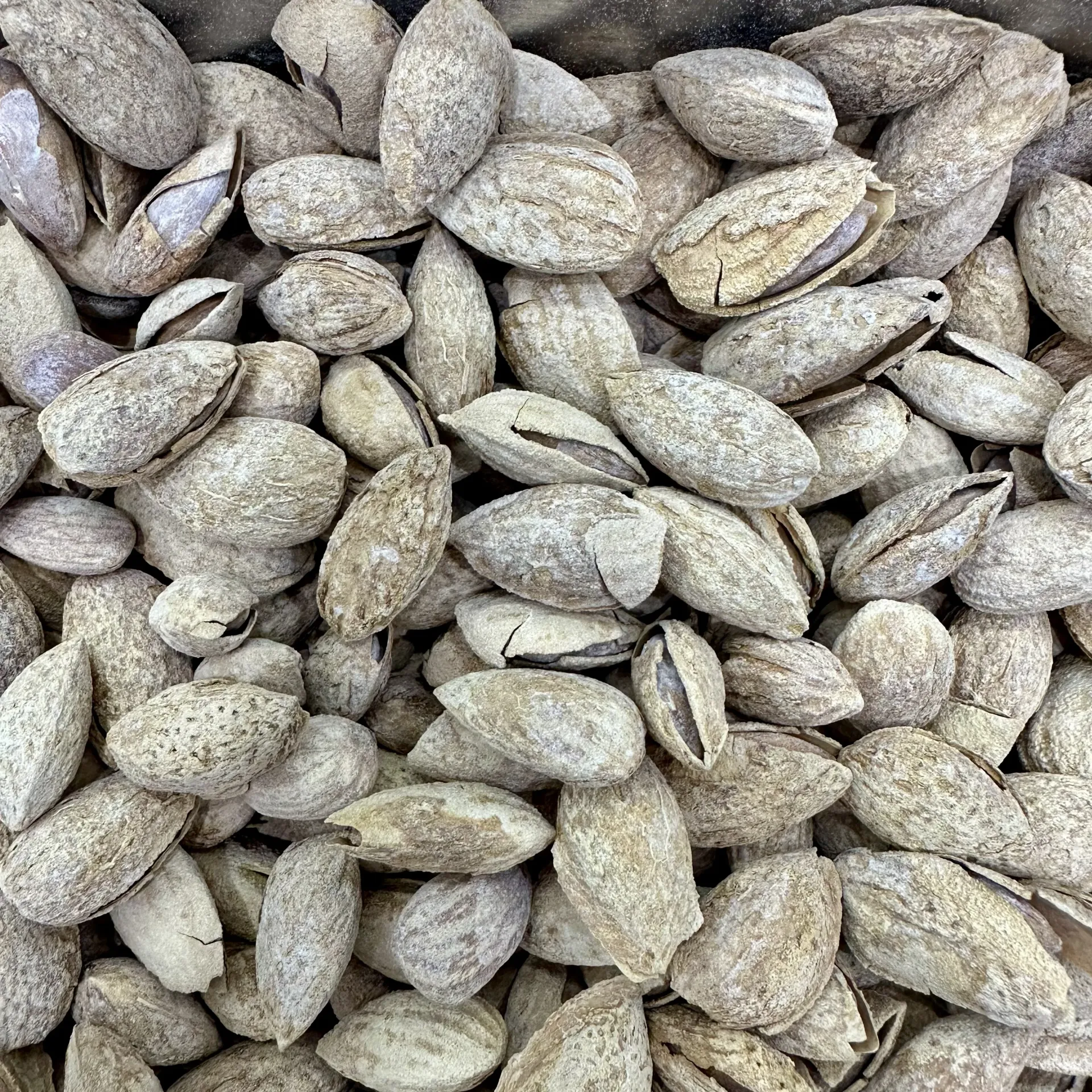 Roasted American Almonds in Shell