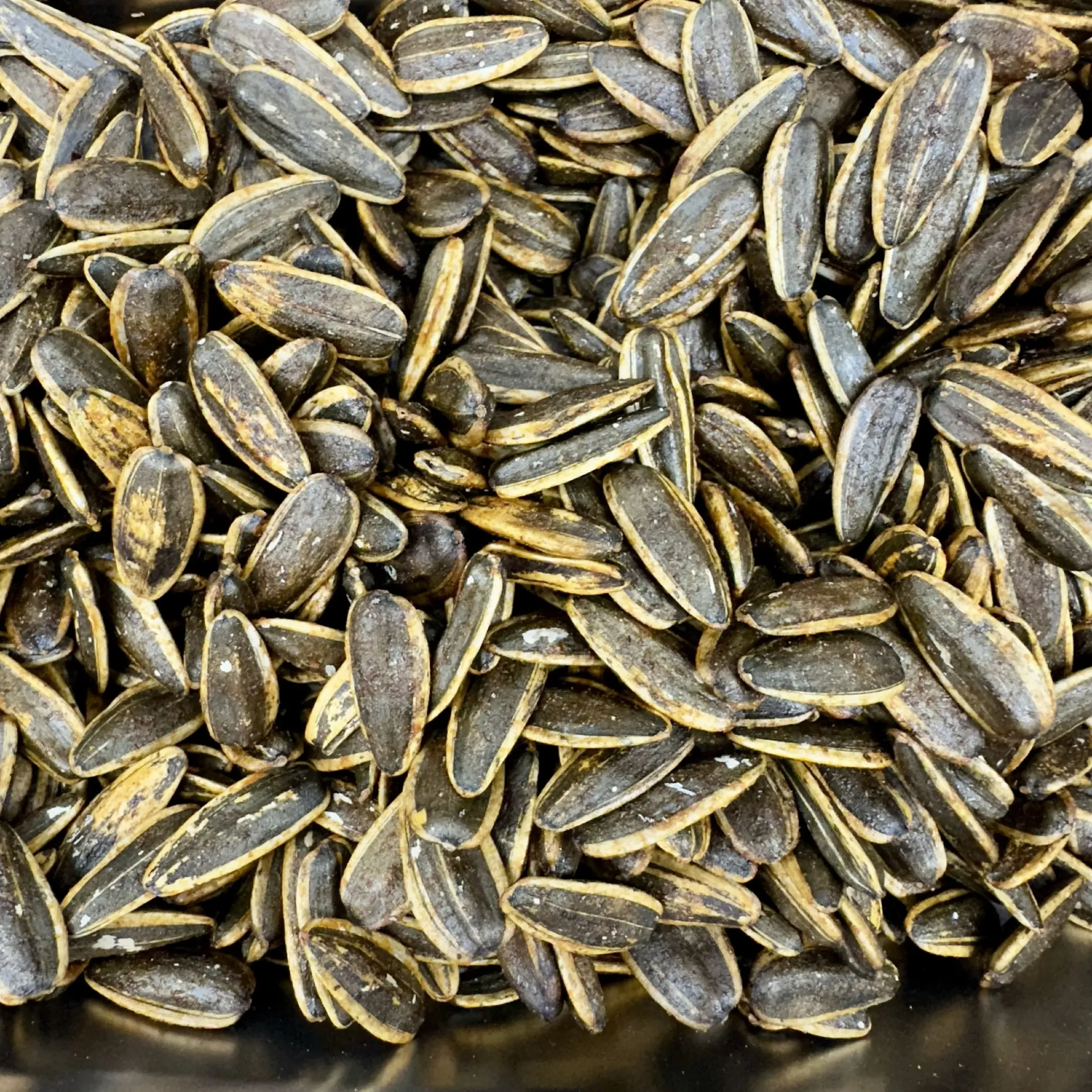 بزر شمس محمص مدخن