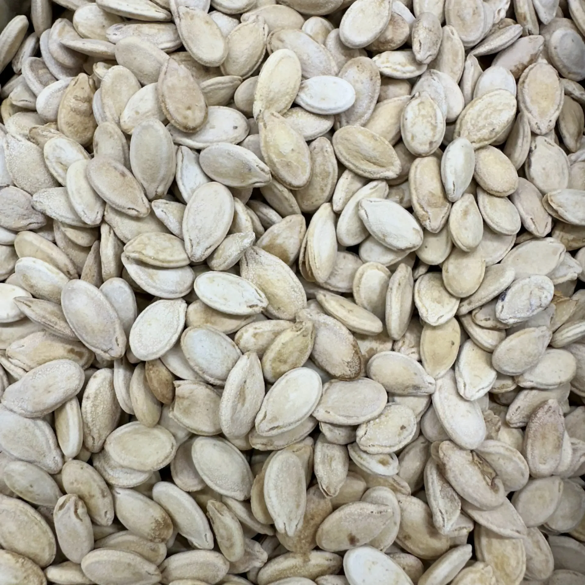 Egyptian Watermelon Super Seeds